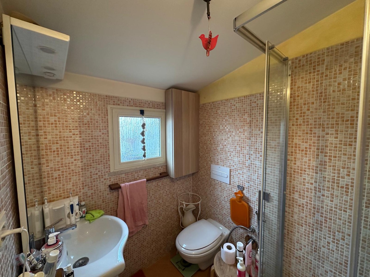 Charming Apartment in an Independent Building property photograph
