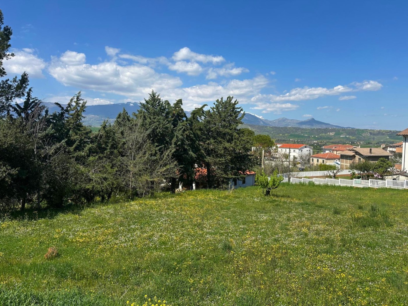 Detached Villa with Garden, Portico and Land property photograph