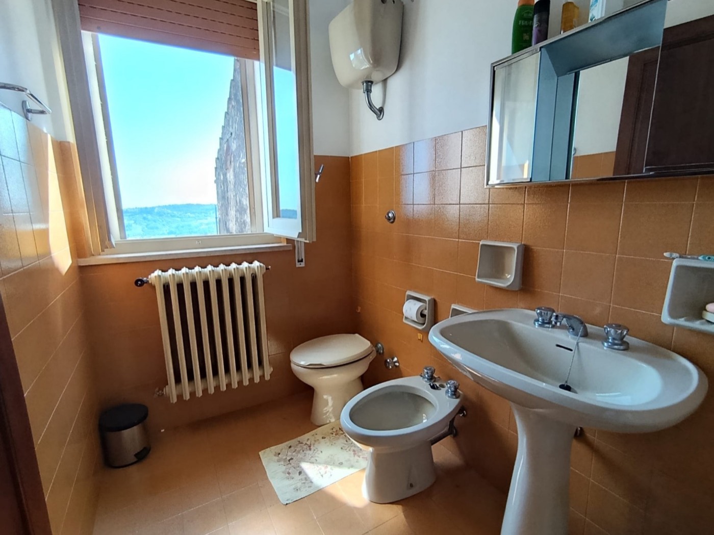 Panoramic Townhouse with Garden in San Martino sulla Marrucina property photograph