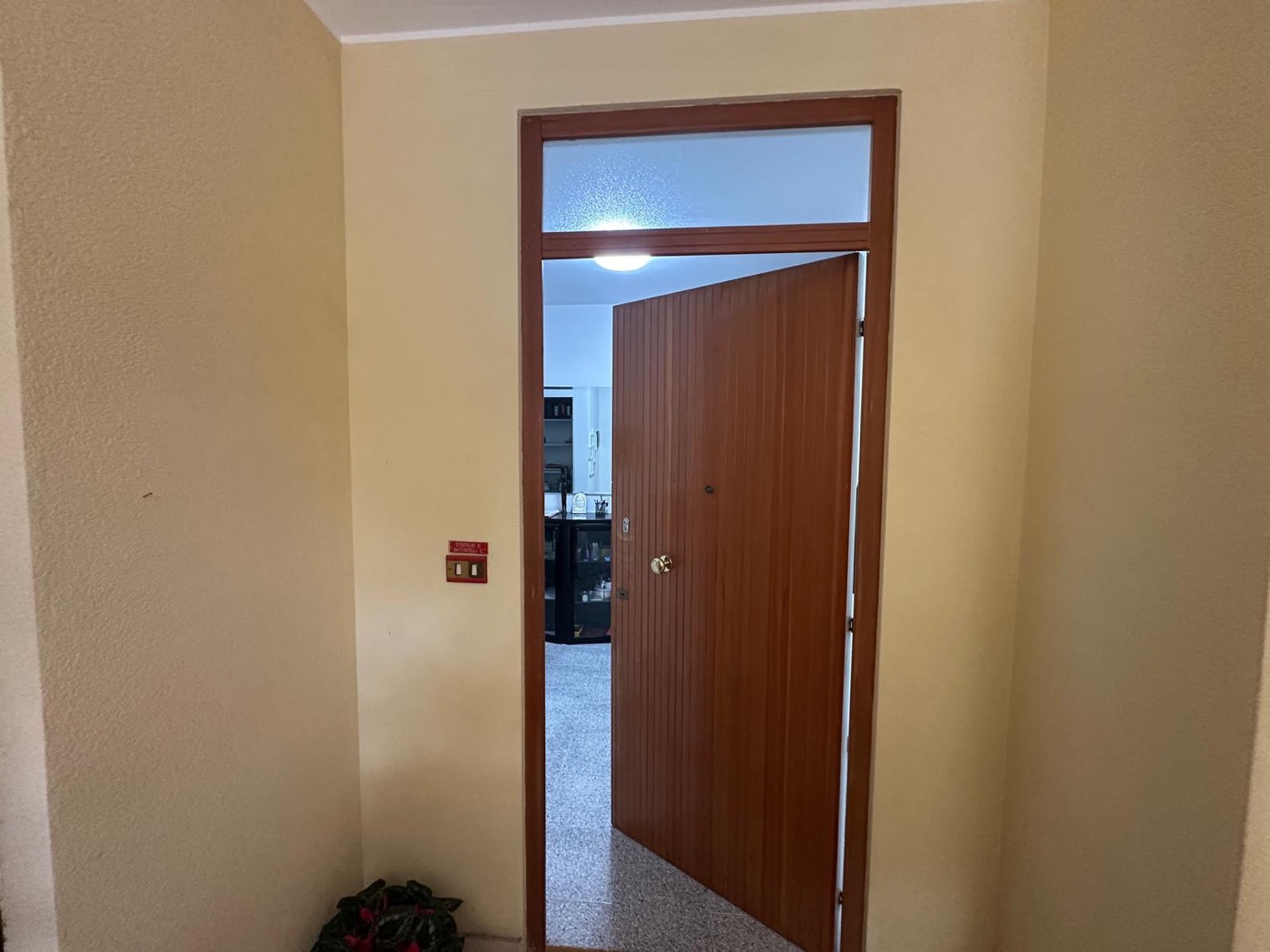 Apartment with Cellar and Communal Garden property photograph
