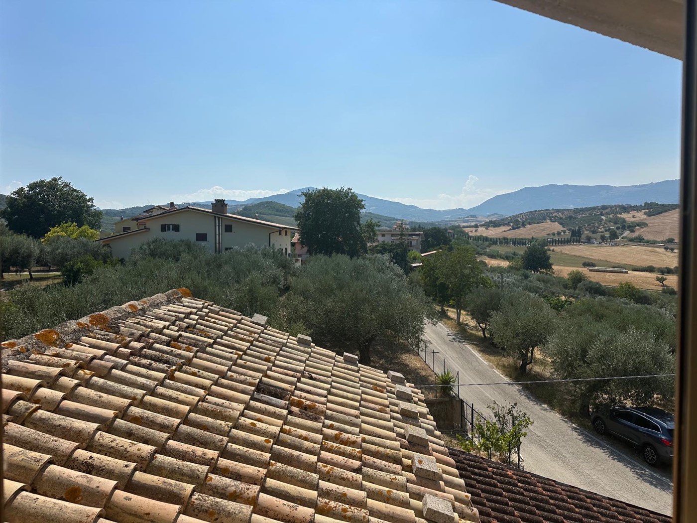 Views over the olive grove and hills — 1321