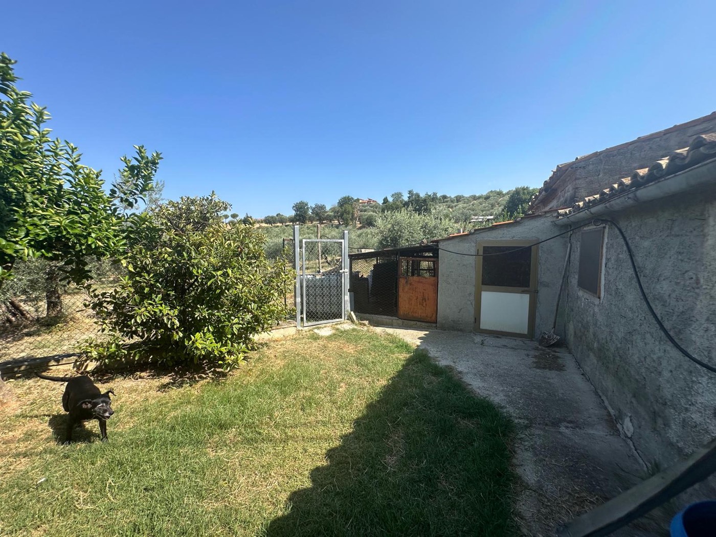 Garden and paths beside the outbuilding — 1321