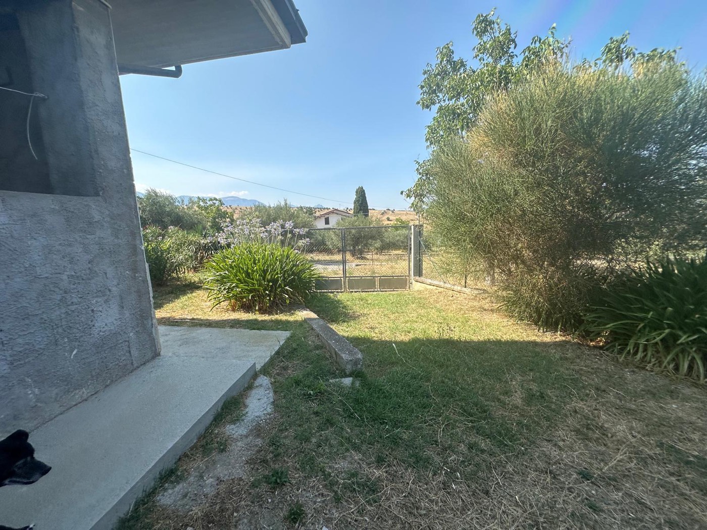 Garden and paths beside the outbuilding — 1321