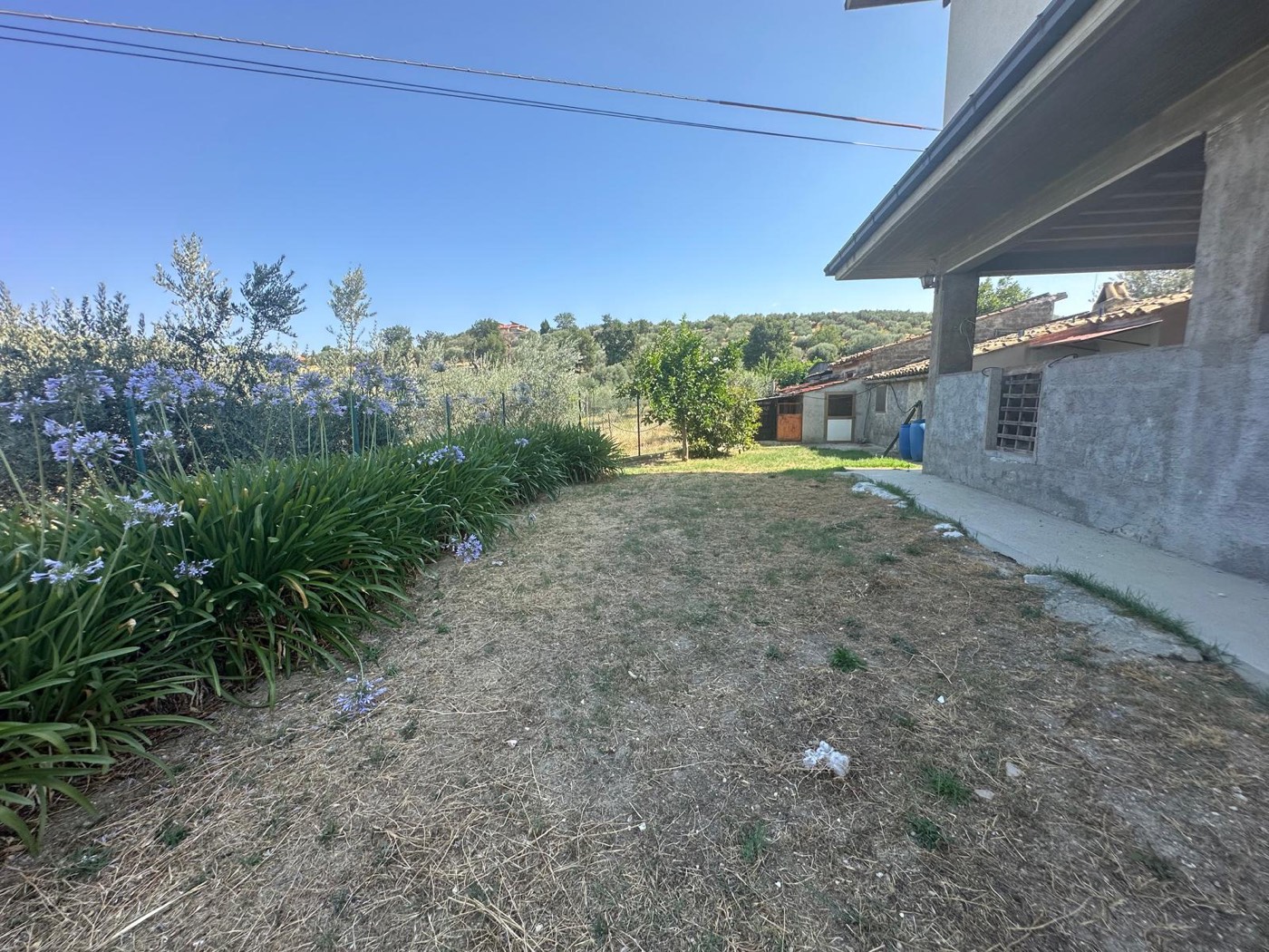 Garden and paths beside the outbuilding — 1321
