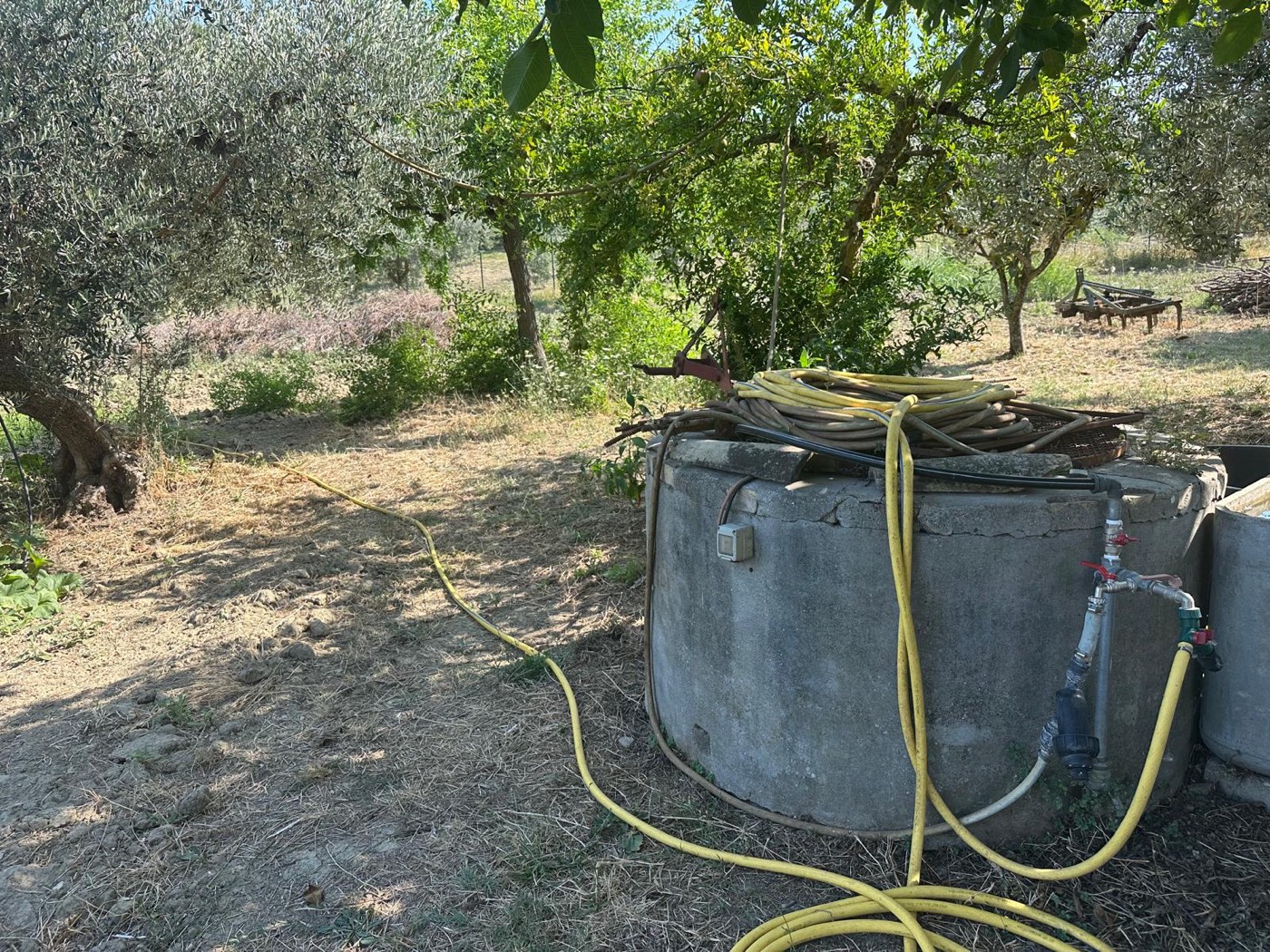 Garden and water tank — 1321