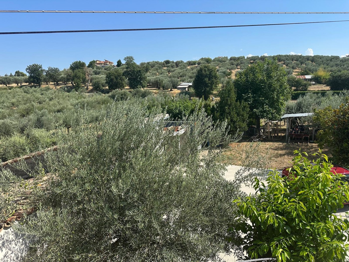 Private land and surrounding countryside — 1321