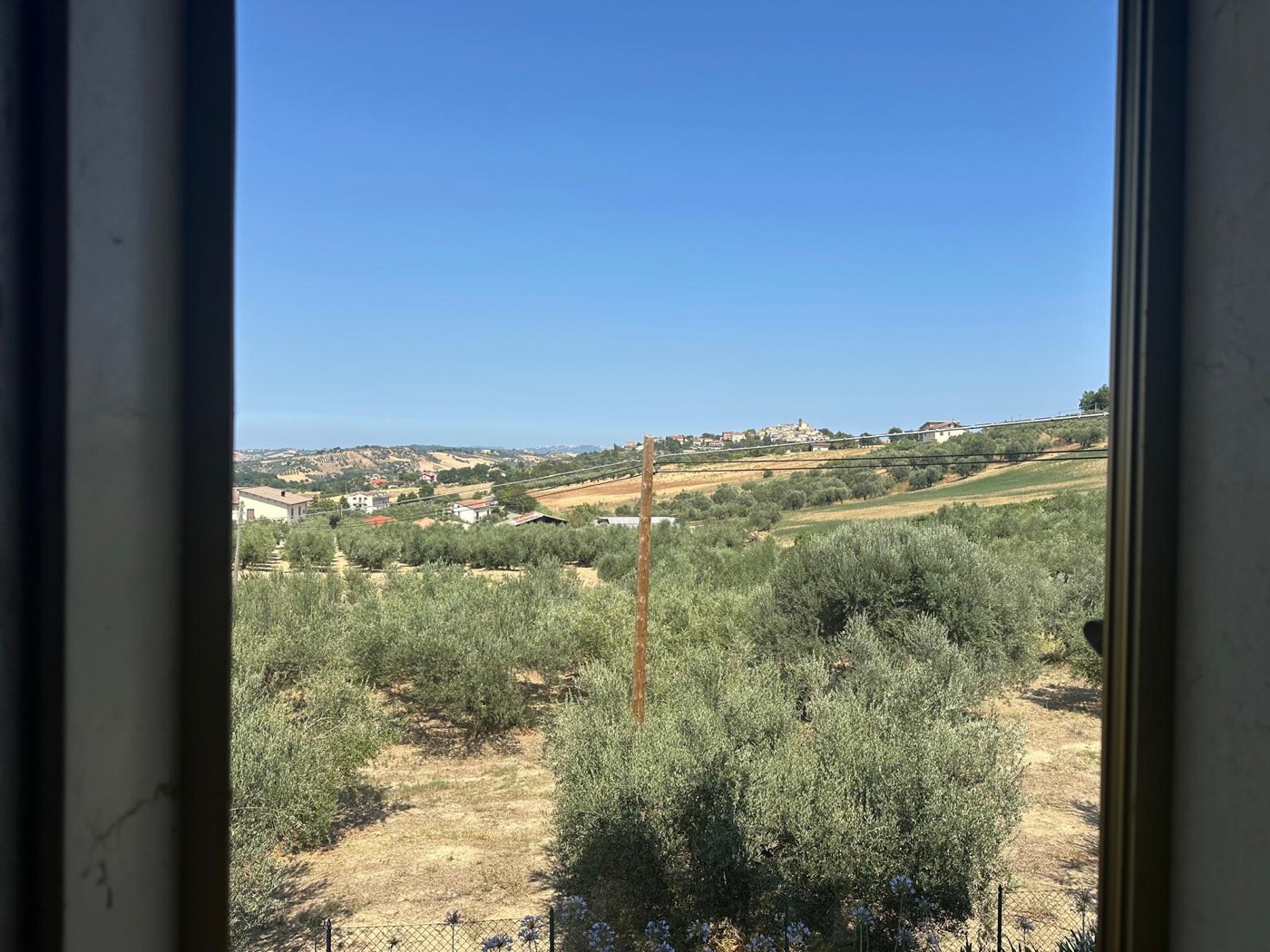 Panoramic view from the house — 1321