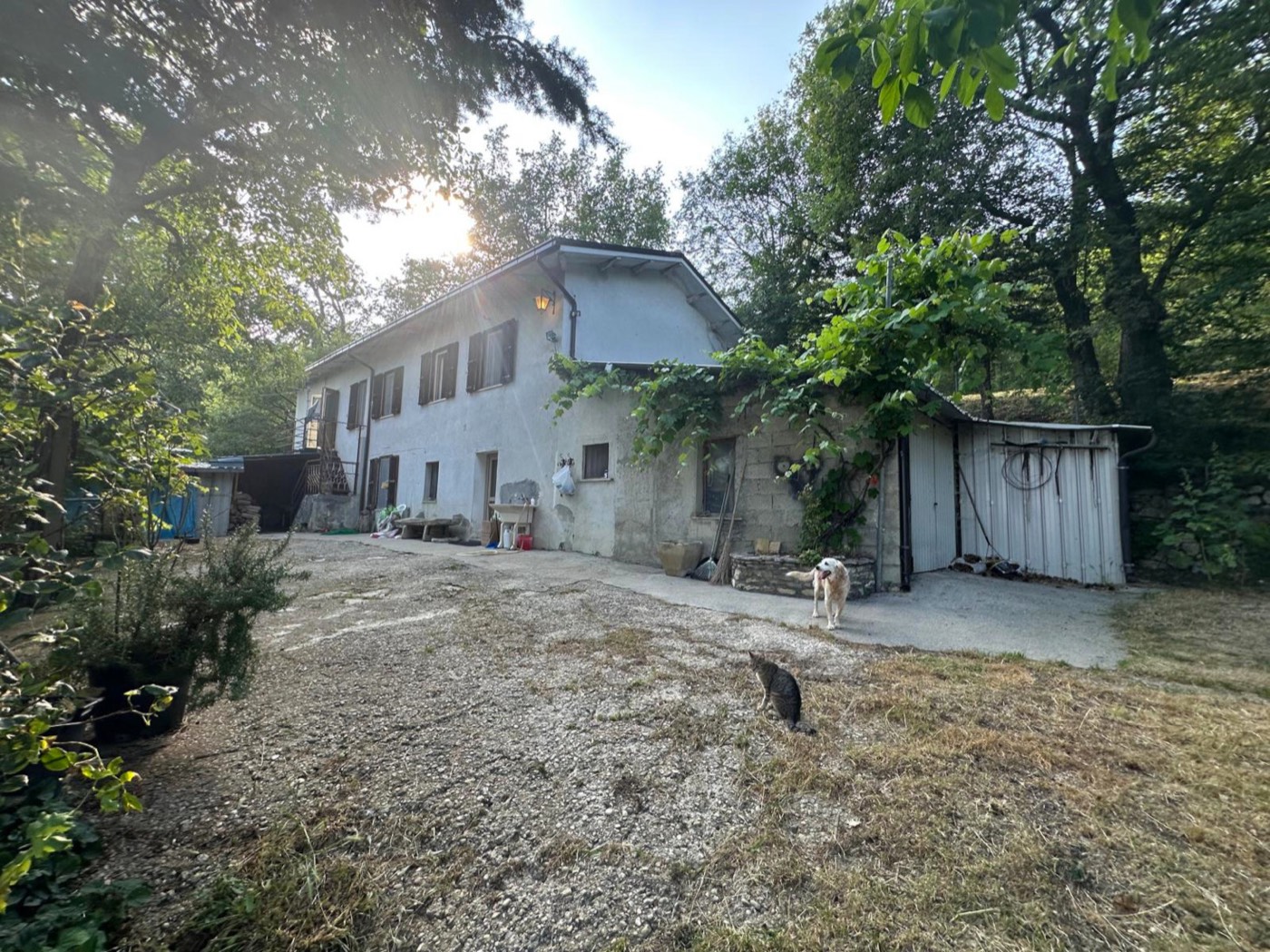 Detached house in Villa Celiera surrounded by trees