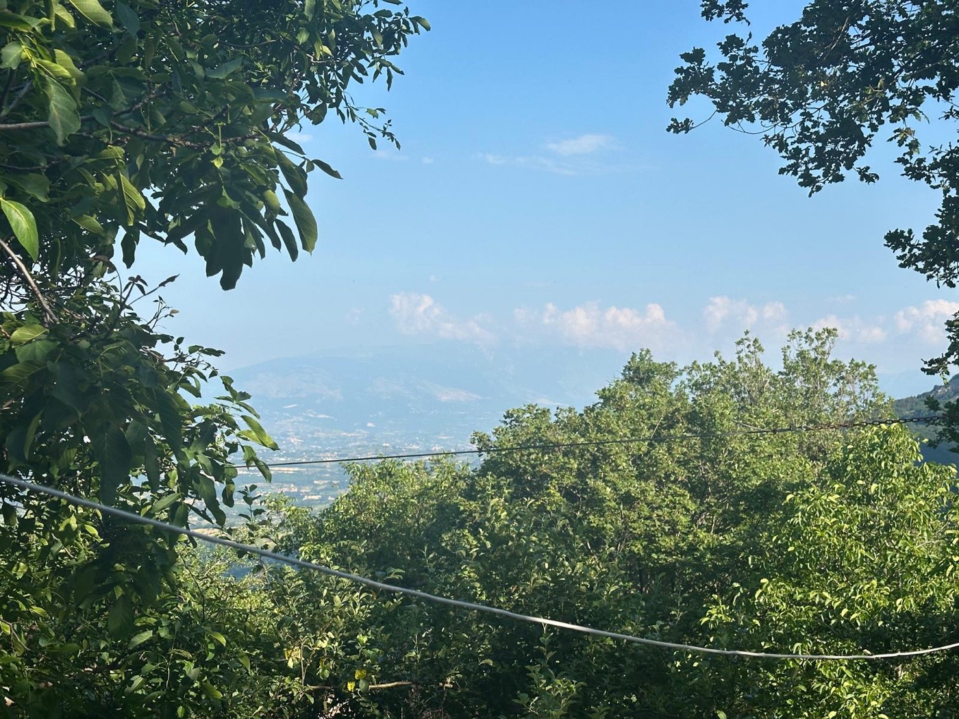 View over the trees and countryside — 1324