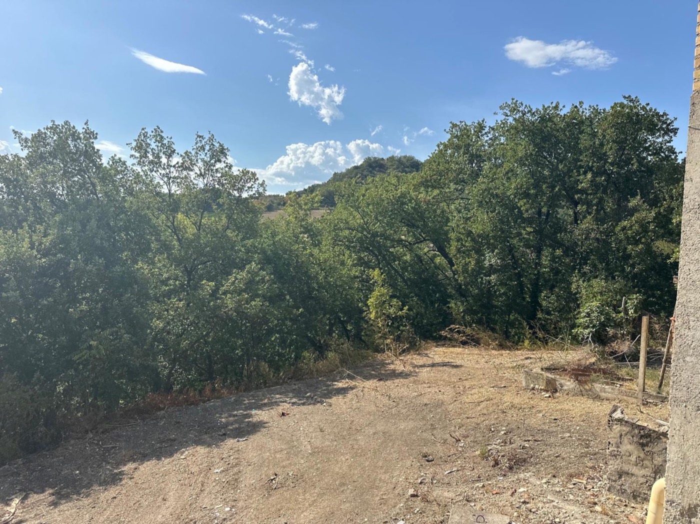 Land and vegetation around the house — 1327