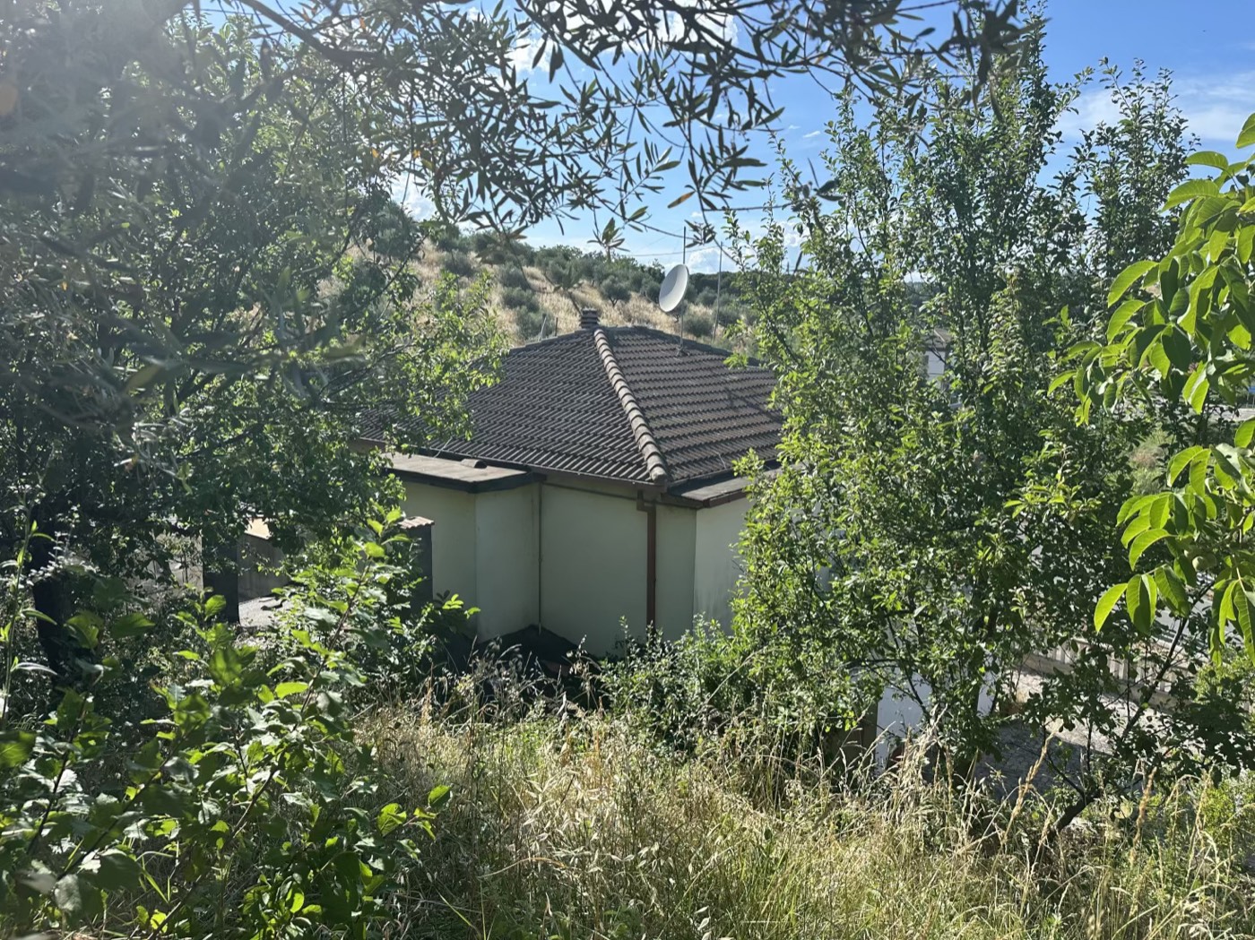 Detached house and outbuilding exteriors — 1341